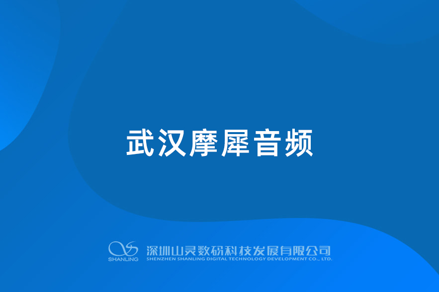 武漢摩犀音頻